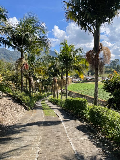 Finca en venta en Camargo, El Carmen de Viboral, 21600 m² · foto 12 de 24