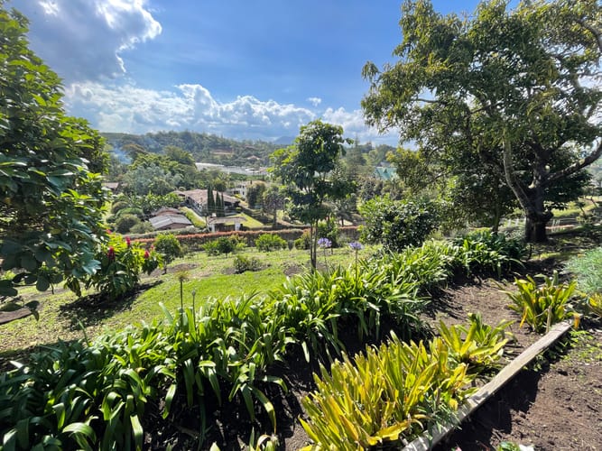 Finca en venta en Camargo, El Carmen de Viboral, 21600 m² · foto 5 de 24
