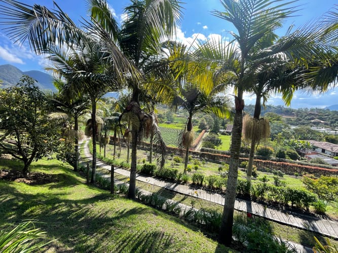 Finca en venta en Camargo, El Carmen de Viboral, 21600 m² · foto 11 de 24