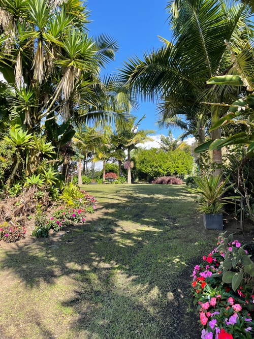 Finca en venta en Camargo, El Carmen de Viboral, 21600 m² · foto 10 de 24