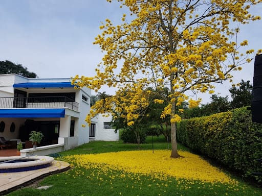 Casa de 4 alcobas en venta en Cerritos, Pereira, 840 m² · foto 4 de 24