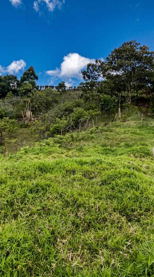 Lote en venta en Cimarronas, Rionegro, 14000 m² · foto 6 de 6