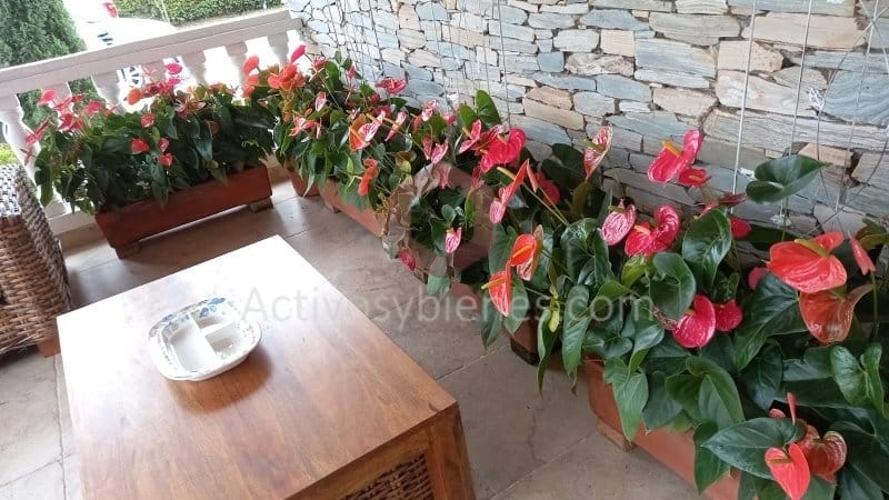 Casa de 5 alcobas en venta en Cabeceras De Llanogrande, Rionegro · foto 14 de 24