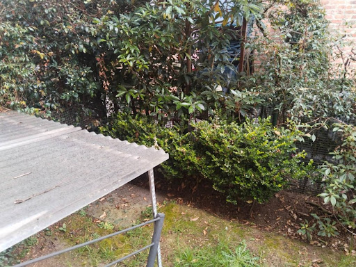 Casa en venta en Gratamira, Bogotá · foto 16 de 18