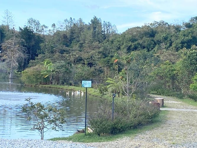 Lote en venta en Pantanillo, El Retiro, 2050 m² · foto 12 de 13
