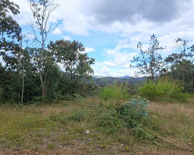 Lote en venta en Pantanillo, El Retiro, 2050 m² · foto 7 de 13