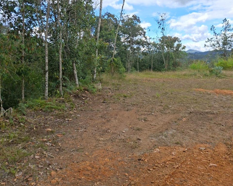 Land in Pantanillo (2050 m²) for Sale - 4