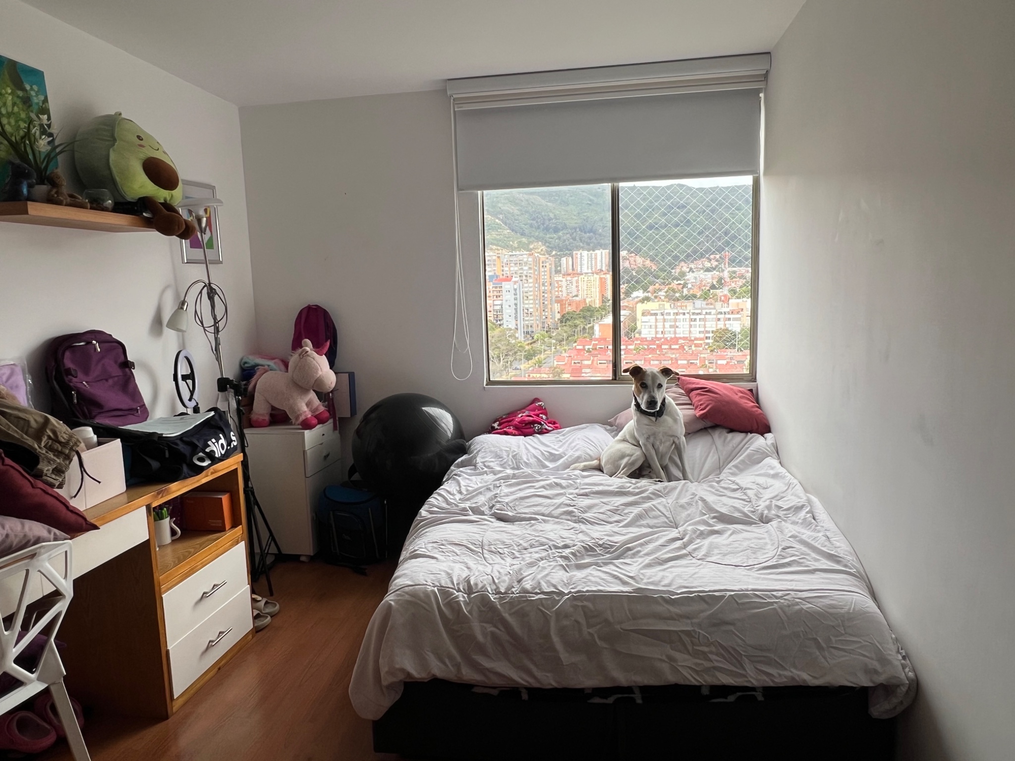 Apartamento en venta en Cedritos, Bogotá · foto 11 de 24
