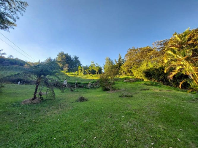 Finca en venta en El Rosal, Rionegro, 17718 m² · foto 9 de 9