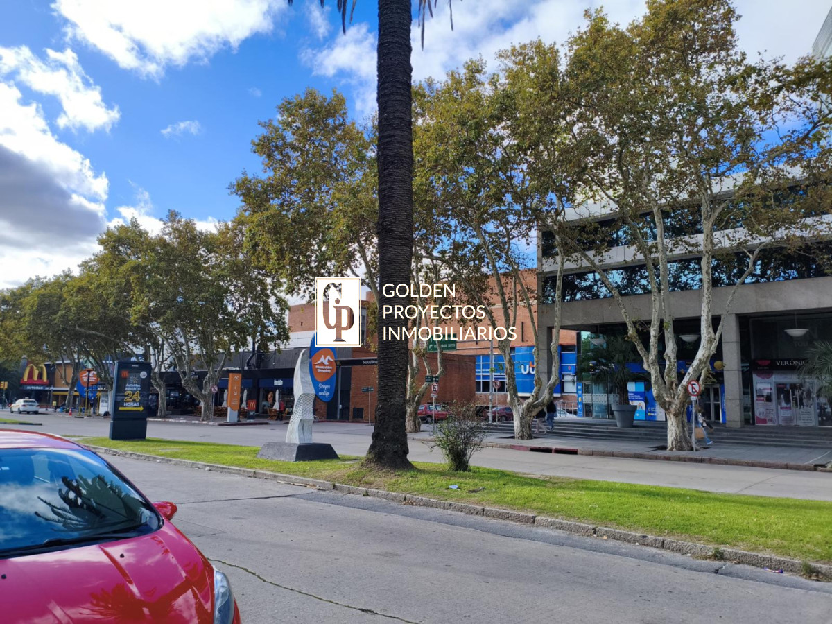 Local Comercial en Alquiler en Pocitos · Foto 10