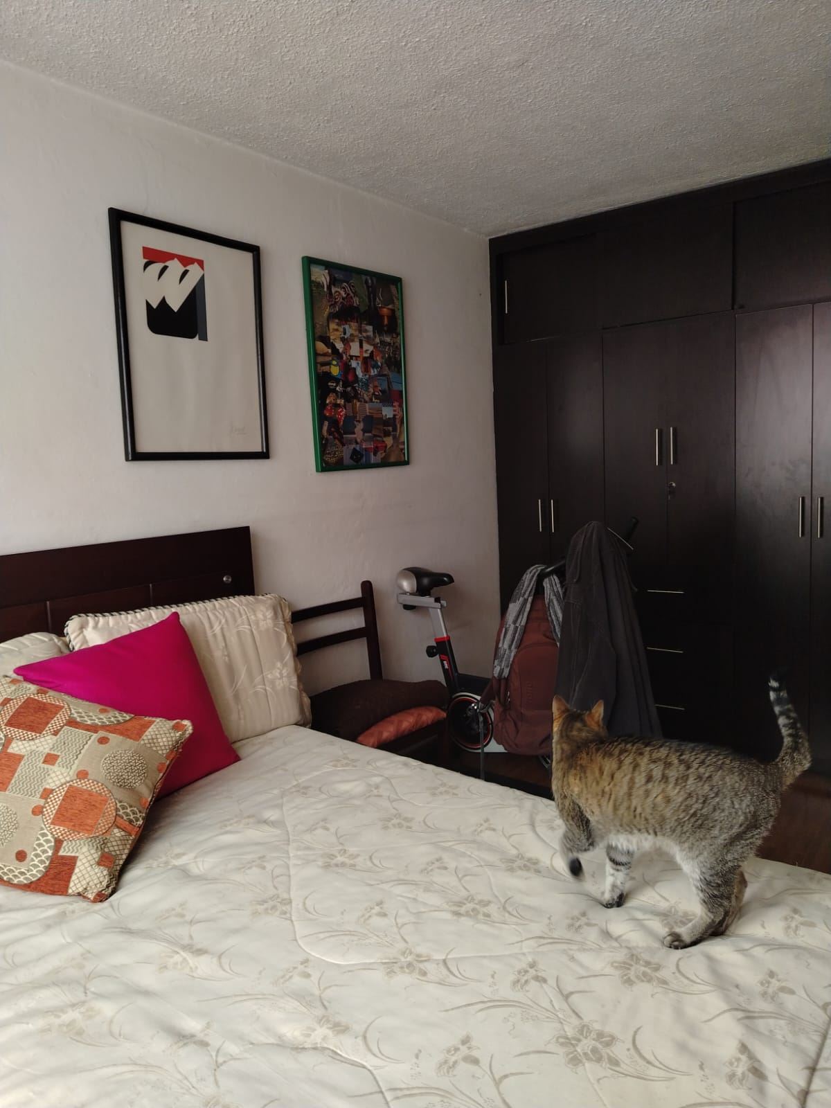Casa en venta en Carvajal, Bogotá · foto 12 de 24