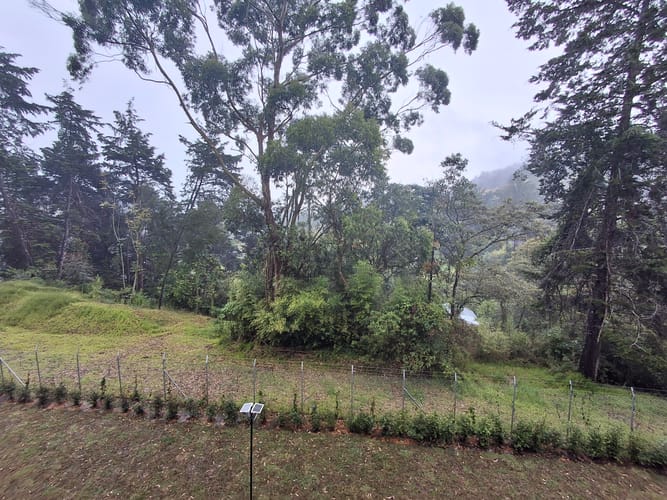 Apartamento de 2 alcobas en arriendo en Yarumal, Rionegro, 126 m² · foto 8 de 24