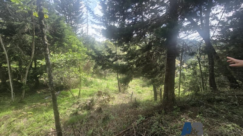 Lote en venta en Pantanillo, El Retiro, 30000 m² · foto 2 de 24