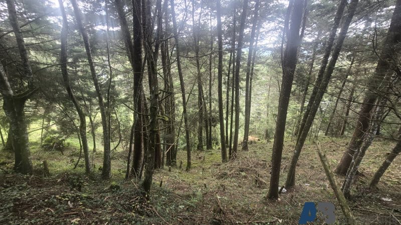 Lote en venta en Pantanillo, El Retiro, 30000 m² · foto 3 de 24
