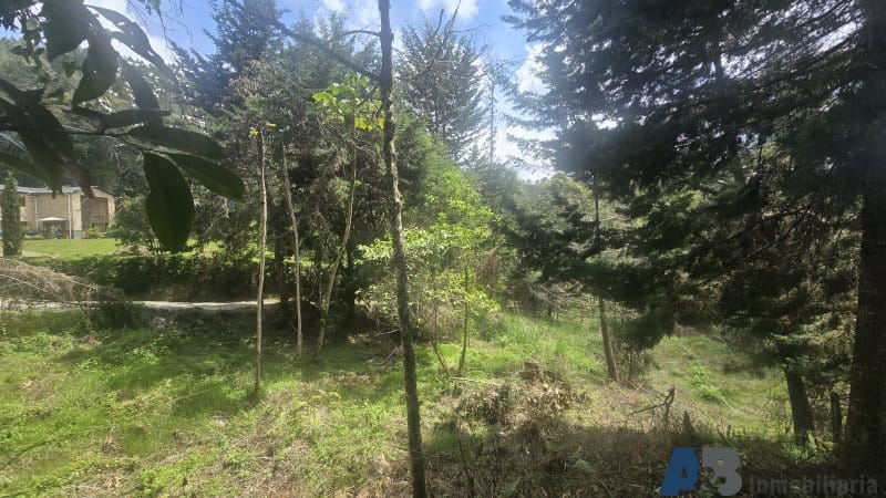 Lote en venta en Pantanillo, El Retiro, 30000 m² · foto 4 de 24
