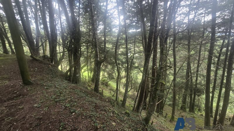 Lote en venta en Pantanillo, El Retiro, 30000 m² · foto 5 de 24