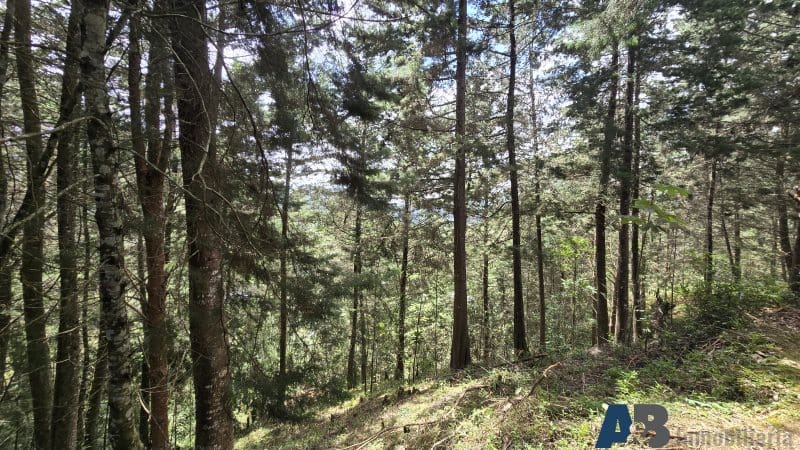 Lote en venta en Pantanillo, El Retiro, 30000 m² · foto 6 de 24