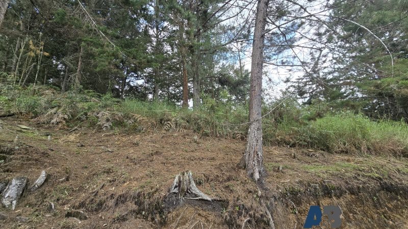 Lote en venta en Pantanillo, El Retiro, 30000 m² · foto 8 de 24