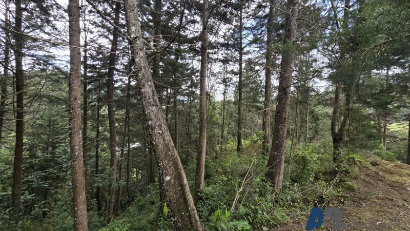 Lote en venta en Pantanillo, El Retiro, 30000 m² · foto 9 de 24