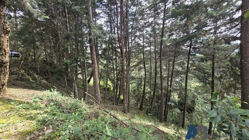 Lote en venta en Pantanillo, El Retiro, 30000 m² · foto 10 de 24