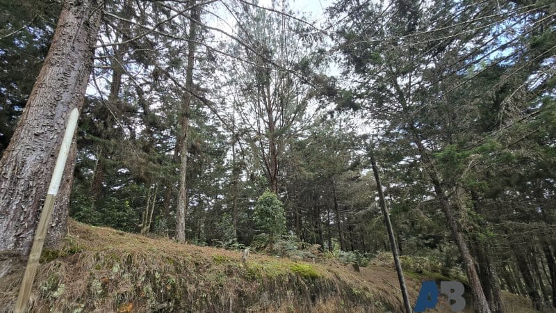 Lote en venta en Pantanillo, El Retiro, 30000 m² · foto 12 de 24