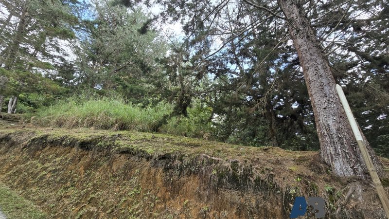 Lote en venta en Pantanillo, El Retiro, 30000 m² · foto 13 de 24