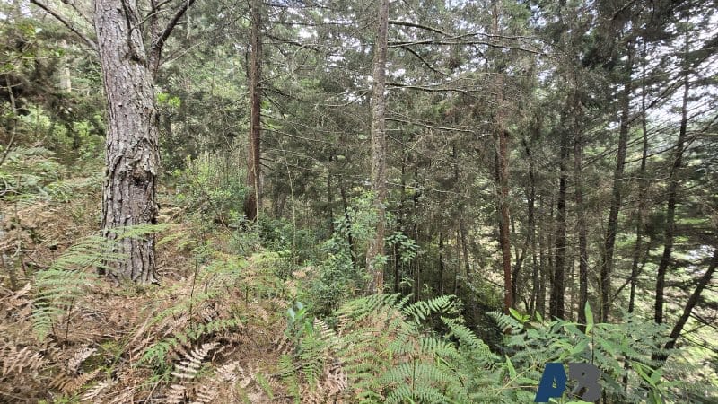 Lote en venta en Pantanillo, El Retiro, 30000 m² · foto 16 de 24