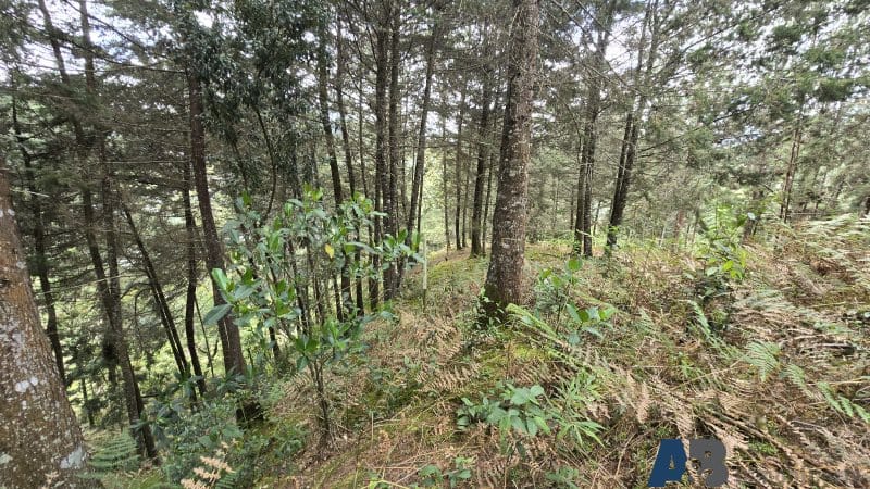 Lote en venta en Pantanillo, El Retiro, 30000 m² · foto 18 de 24