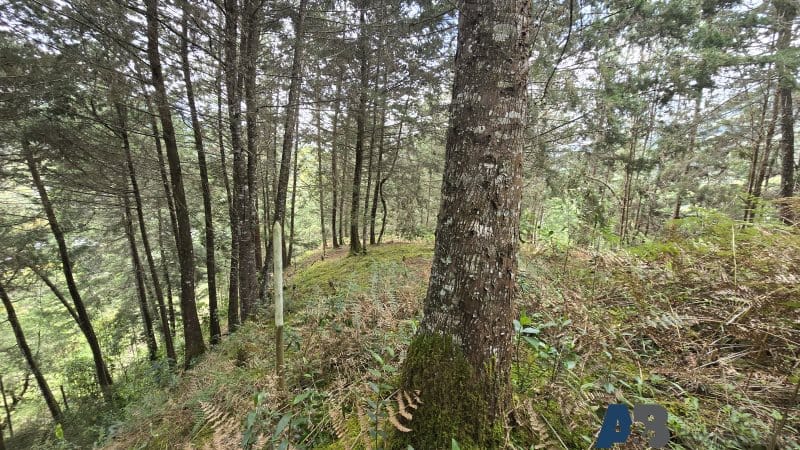 Lote en venta en Pantanillo, El Retiro, 30000 m² · foto 19 de 24