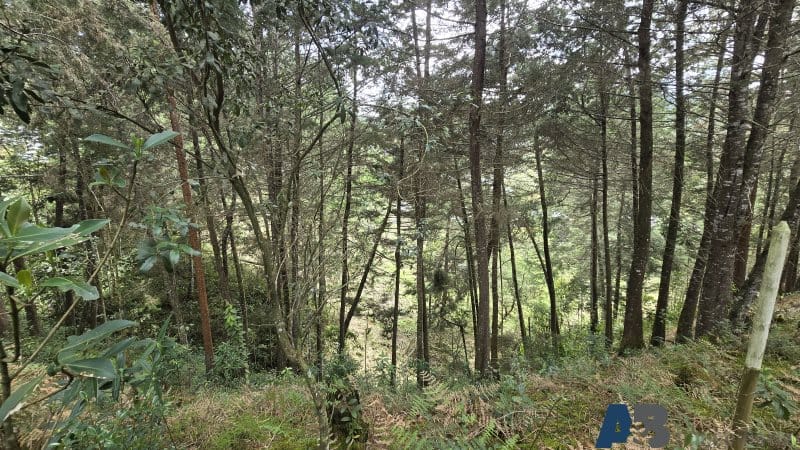 Lote en venta en Pantanillo, El Retiro, 30000 m² · foto 20 de 24
