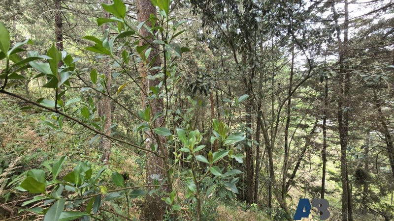 Lote en venta en Pantanillo, El Retiro, 30000 m² · foto 21 de 24