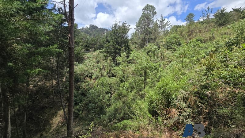 Lote en venta en Pantanillo, El Retiro, 30000 m² · foto 22 de 24