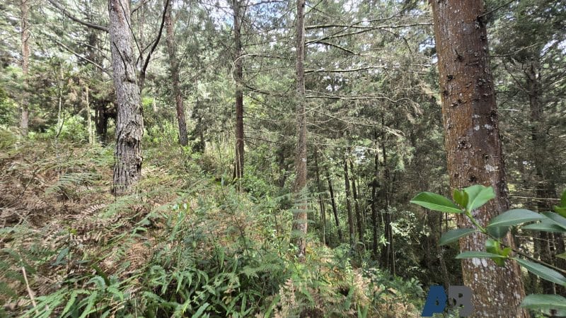 Lote en venta en Pantanillo, El Retiro, 30000 m² · foto 23 de 24
