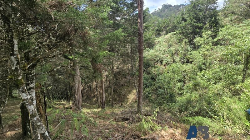 Lote en venta en Pantanillo, El Retiro, 30000 m² · foto 24 de 24