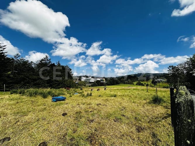 Lote en venta en Las Palmas, Envigado · foto 5 de 8
