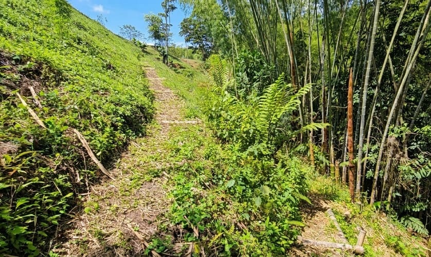 Lote en venta en Via Circasia, Armenia, 3400 m² · foto 5 de 5