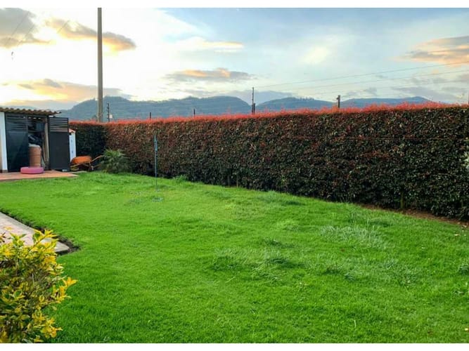 Casa de 3 alcobas en venta en Primavera Occidental - Puente Aranda, Bogotá, 150 m² · foto 4 de 24