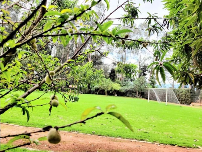 Casa de 3 alcobas en venta en Fonquetá, Chía, 150 m² · foto 19 de 21