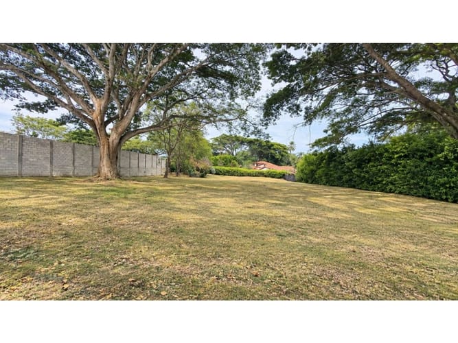 Lote en venta en Pance, Cali, 3000 m² · foto 8 de 10