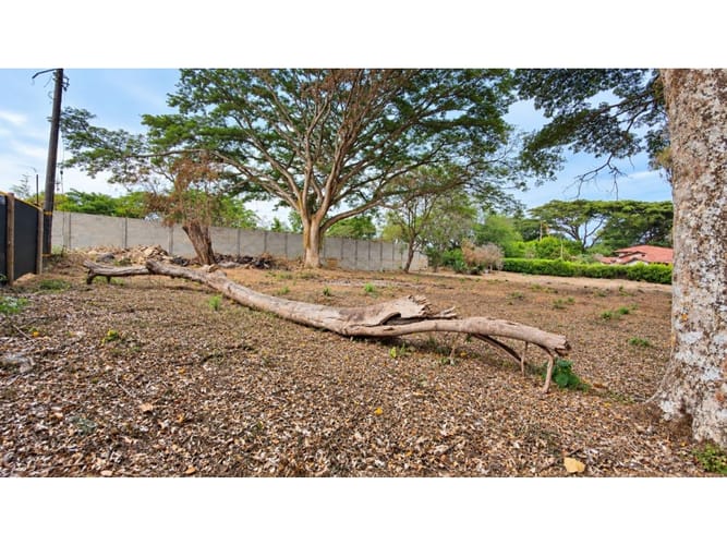 Lote en venta en Pance, Cali, 3000 m² · foto 9 de 10