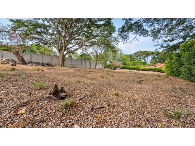Lote en venta en Pance, Cali, 3000 m² · foto 10 de 10