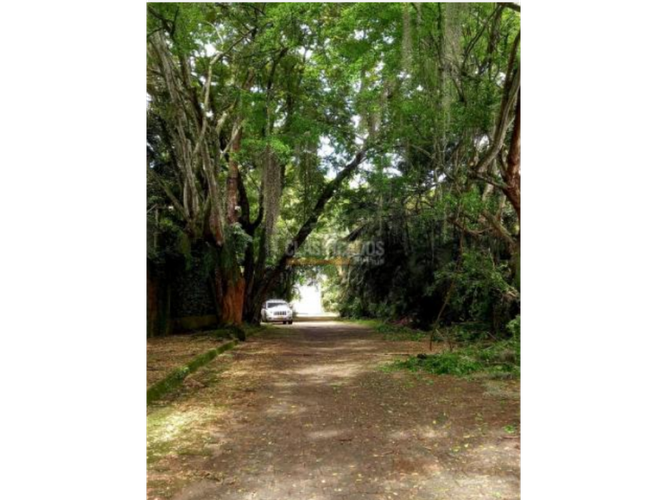Lote en venta en Pance, Cali, 3028 m² · foto 2 de 7