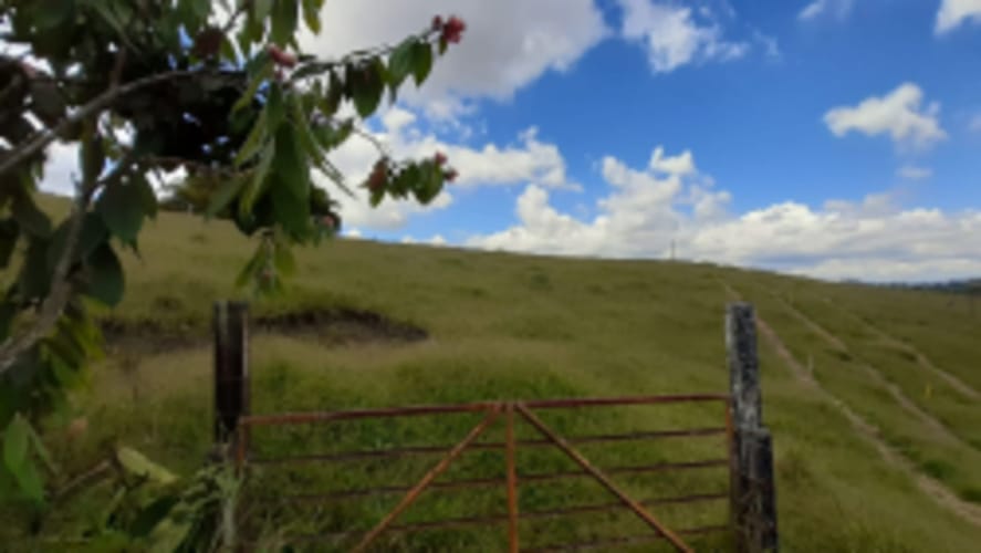 Lote en venta en La Sonadora, El Carmen de Viboral, 2613 m² · foto 2 de 18