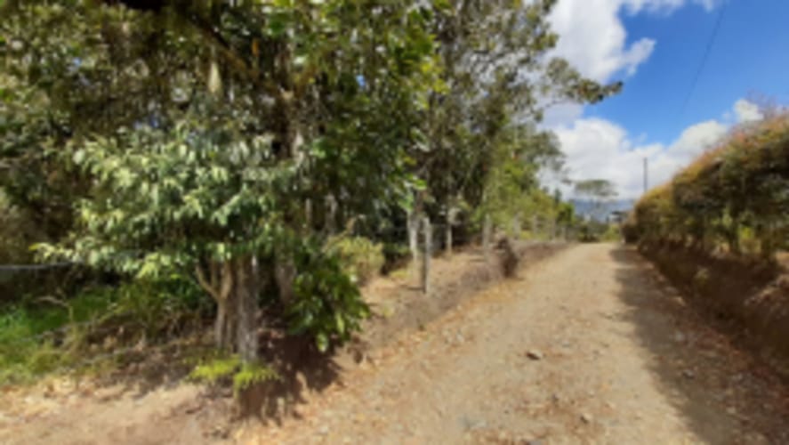 Lote en venta en La Sonadora, El Carmen de Viboral, 2613 m² · foto 4 de 18