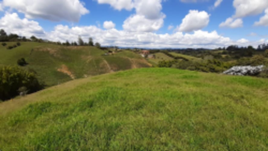 Lote en venta en La Sonadora, El Carmen de Viboral, 2613 m² · foto 5 de 18