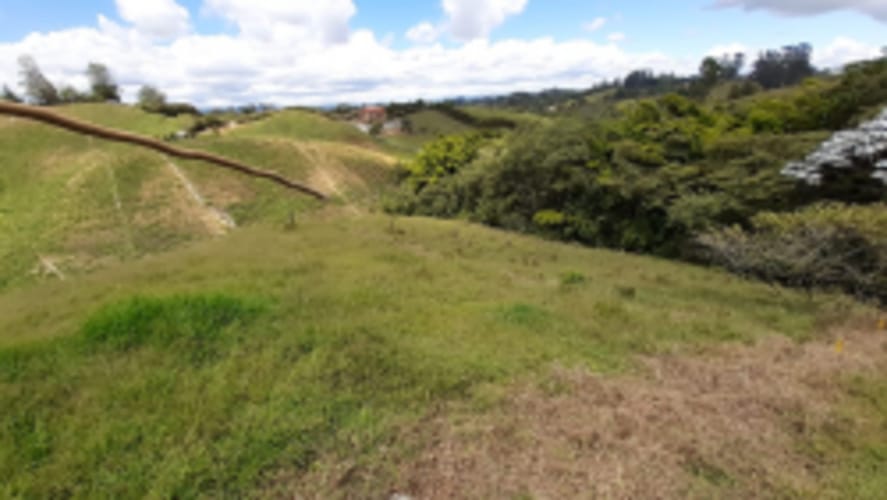 Lote en venta en La Sonadora, El Carmen de Viboral, 2613 m² · foto 6 de 18