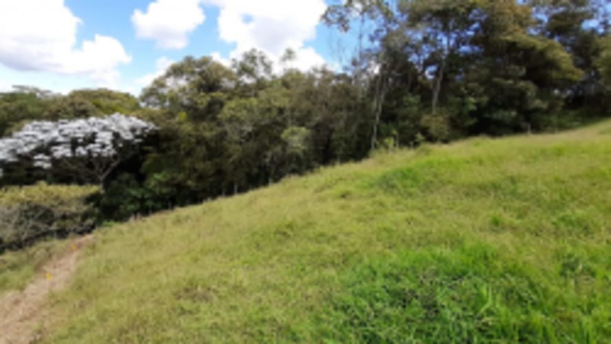 Lote en venta en La Sonadora, El Carmen de Viboral, 2613 m² · foto 9 de 18