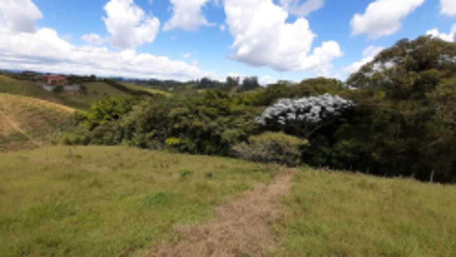 Lote en venta en La Sonadora, El Carmen de Viboral, 2613 m² · foto 10 de 18