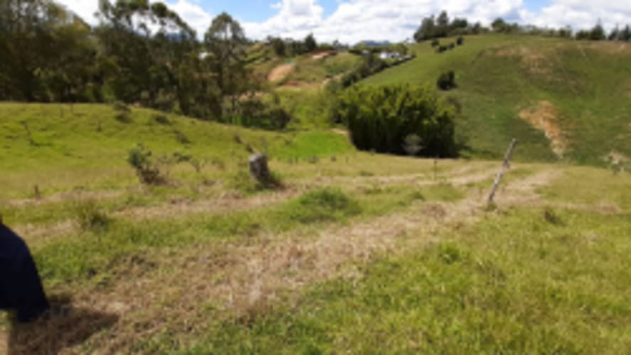 Lote en venta en La Sonadora, El Carmen de Viboral, 2613 m² · foto 12 de 18