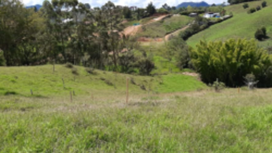 Lote en venta en La Sonadora, El Carmen de Viboral, 2613 m² · foto 16 de 18